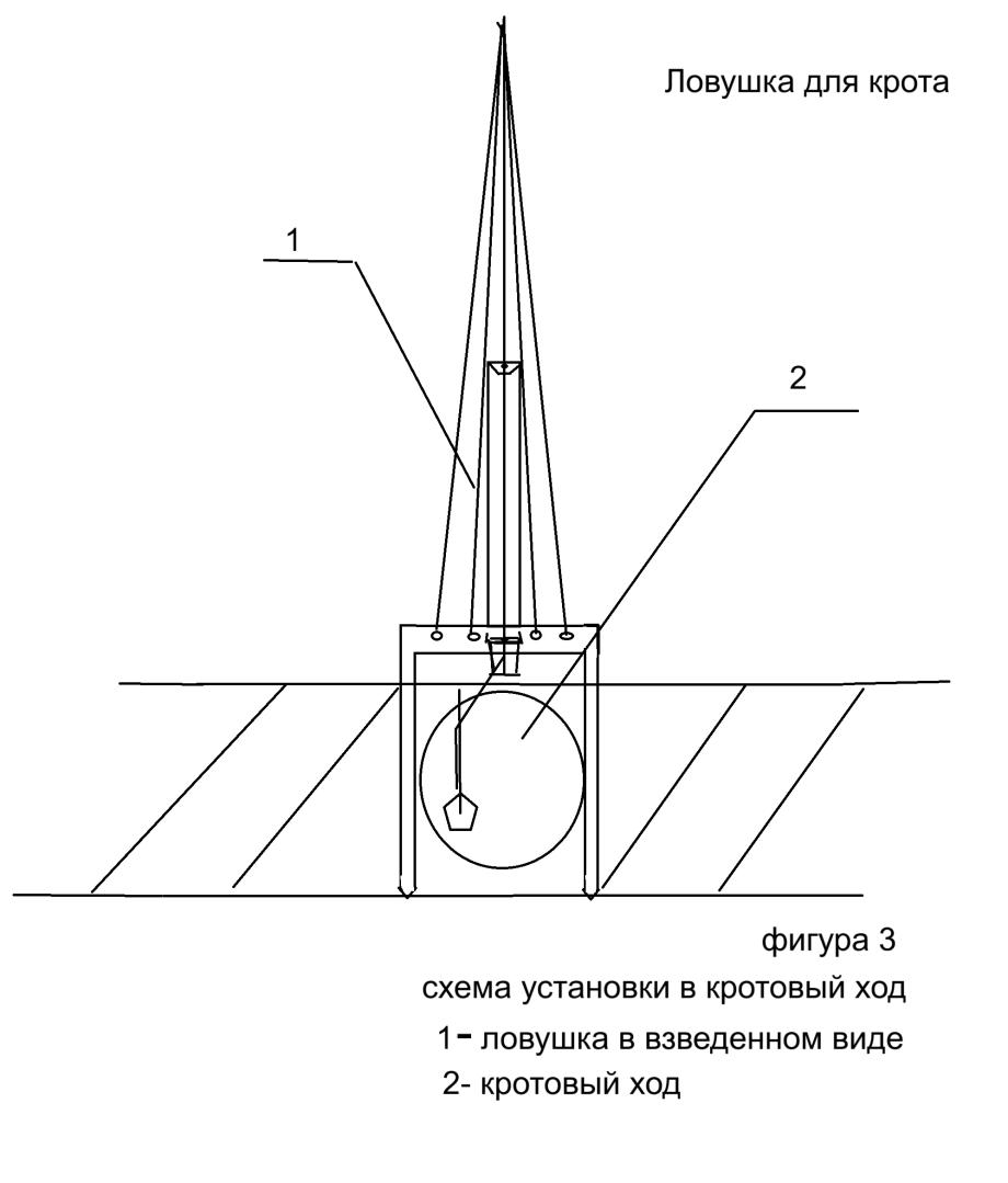 Схема установки: ноги по краям отверстия, стрела по центру хода, педаль у входа